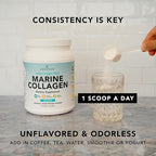 AMANDEAN Marine Collagen Peptides Powder. Double Hydrolyzed for Increased Absorption. Wild-Caught Fish Collagen Supplement. Type 1 & 3 Collagen Protein. 18 Amino Acids for Skin, Hair, Nails.