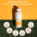 Manna Vitamins Evolved Liposomal Liquid Curcumin for Advanced Absorption Best Turmeric Supplement for Daily Joint & Immune Health Support - Vegan, Non-GMO, 95% Curcuminoids (2 Pack)