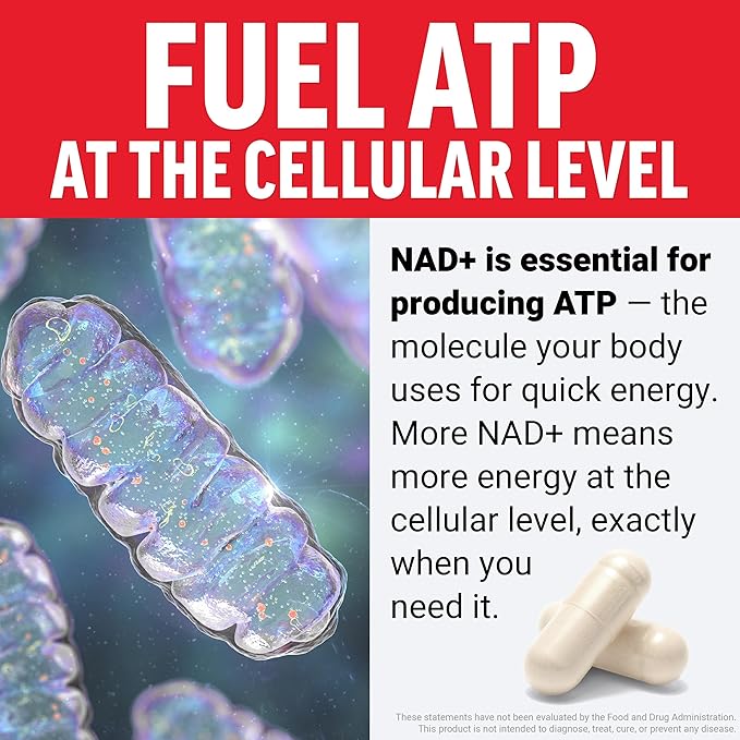 Force Factor NMN Supplement, Nicotinamide Mononucleotide to Support Healthy Aging and Energy Metabolism, Boosts NAD+ Levels, No Gelatin, Non-GMO, 30 Vegetable Capsules