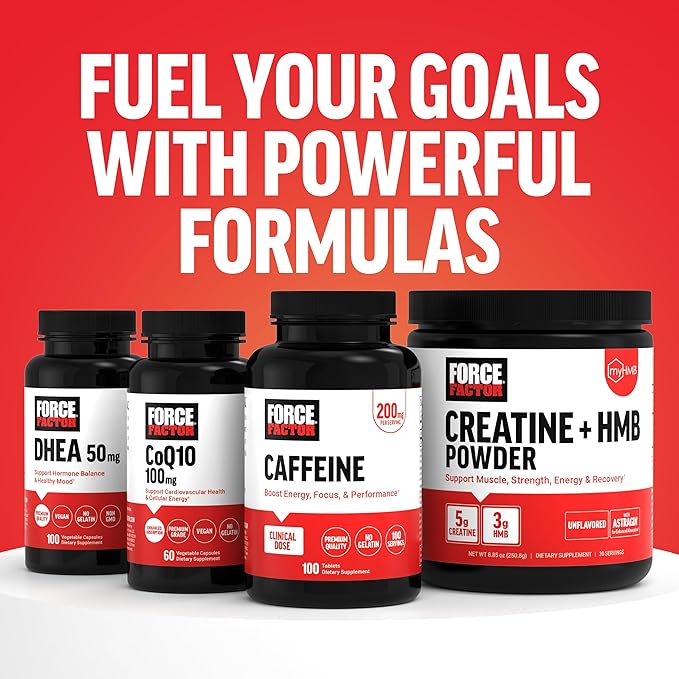 Force Factor L-Carnitine Liquid 3000mg, Maximum Strength Supplement to Support Fat Metabolism, Cellular Energy & Muscle Recovery, High Absorbing, Non-GMO, Orange Flavor, 16 oz Bottle