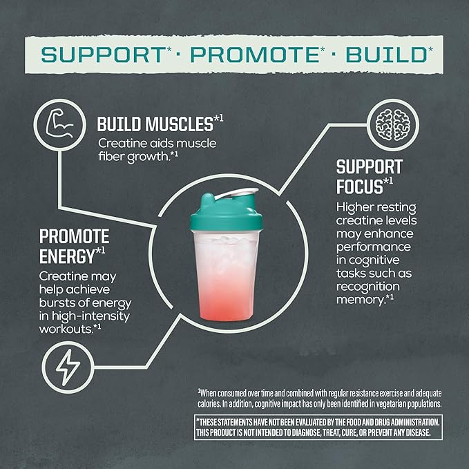 Sunwarrior Creatine Monohydrate Powder Micronized PreWorkout Recovery Supplement | Support Muscle Building Strength Training Cognition | Vegan & Keto Friendly Bulk Size (120 Servings) Unflavored