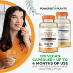 Boswellia Serrata Extract Joint Support Supplement by Powered by Plants – 65% High Potency Boswellic Acids with BioPerine – Supports Immunity, Mobility & Flexibility – 120 Vegan Capsules