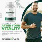 Pure Berberine Supplement - 1300mg Berberine with Ceylon Cinnamon for Metabolism & Immune System Support - 1 Pack of 180 Servings