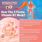 Vitamin B1 & Methylated Vitamin B Complex Gummies - All B Vitamins, Benfotiamine, Thiamine & Inositol, Methylated B1 B2 B6 Multivitamins, L-methylfolate, Methyl B12 for Nerve Cognition Energy, 120Cts