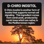 NatureWise Myo-Inositol & D-Chiro Inositol Supplement for Women - Fertility Supplements for Women - Ideal 40:1 Ratio - Myo Inositol 2000mg - Non-GMO, Vegan, USA Manufactured - [30-Day Supply]