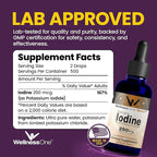 WellnessOne Iodine Drops for Thyroid Support - Fast Acting Liquid Iodine Supplement from Potassium Iodide - Great for Immunity & Cognition & Maximizes Iron Absorption - 1.67 fl oz