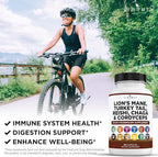 Lions Mane Mushroom Supplement with Turkey Tail Reishi Cordyceps Chaga with Marshmallow Root - 3-Pack
