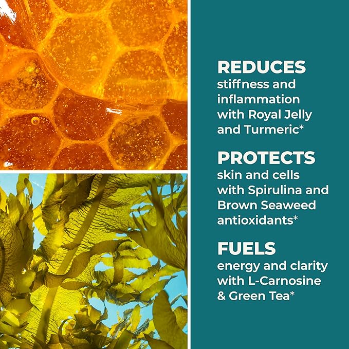 LifeSeasons Stem Boost-R - Stem Cell Support - Naturally Repair Damaged Tissue - Vitamin Supplement Rich in Antioxidants - Royal Jelly, Spirulina, Blueberry, Brown Seaweed & L-Carnosine - 120 Capsules