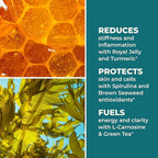 LifeSeasons Stem Boost-R - Stem Cell Support - Naturally Repair Damaged Tissue - Vitamin Supplement Rich in Antioxidants - Royal Jelly, Spirulina, Blueberry, Brown Seaweed & L-Carnosine - 120 Capsules