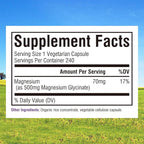 Innate Vitality Magnesium Glycinate 500mg | 70mg Elemental Magnesium Supplement - High Absorption, Non Buffered, Non-GMO & No Gluten - Vegan - Nerve Health - 240 Capsules (Pack of 1)
