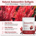3Pack Premium Astaxanthin 12mg, Natural Antioxidant Supplement for Eye, Joint, Skin Health,Microalgae Source, 4 Month Supply | Supports Internal Circulation, 360 Softgels