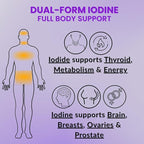 Lugol's Iodine Tablets 12.5mg x 90 ct - Reddish Brown Stable Iodine + Potassium Iodide Formula, Masks Bitter Liquid Taste, Thyroid Support, Detox, Breast Health - No Preservative, Non-GMO, Gluten-free