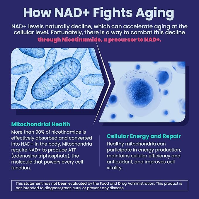 2 Pack - Nicotinamide 500mg Gummies, NAD+ Supplement for Women & Men w/ Collagen Peptides, (Flush Free Niacin) Vitamin B3 Niacinamide for Anti-Aging, NAD+ Levels, Longevity, Focus & Brain, Sugar Free