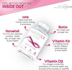 AgelessLX HMB Supplements for Women - Collagen Enhancer Capsules - Anti-Aging for 40 + Lean Muscle Builder - Biotin, Vitamin D3 K2 Supplement for Youthful Skin - 60 Servings