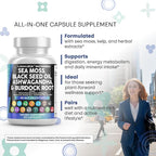 Clean Nutraceuticals Sea Moss Black Seed Oil Ashwagandha Turmeric Bladderwrack Burdock & Vitamin C Vitamin D3 with Elderberry Manuka Dandelion Yellow Dock Iodine Chlorophyll ACV - 2Pack