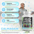 Clean Nutraceuticals GABA 750mg 5 HTP 200mg L Tryptophan 500mg L Theanine 200mg Ashwagandha SAM-e L-Glycine - Mood Support Vitamins for Women and Men with L-Tyrosine (90 Count (Pack of 2))