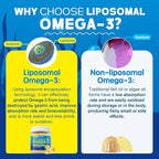 Vegan Omega-3 Gummies 1000mg +CoQ10+Magnesium- EPA 600mg & DHA 400mg, Fish Oil Omega 3 Supplements Alternative for Women Men Adults- Liposomal Form -Algae- Plant Sterols, Garlic,B6,B9, B12, Sugar Free