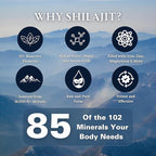 Pure Shilajit Resin Dry Drops - High Potency, Grade A, 100% Pure with Fulvic Acid & 85+ Trace Minerals for Better Energy Metabolism & Immune Support | 60 Easy-to-Take Tablets for Men & Women
