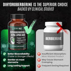 Refined Root Dihydroberberine 300mg with Alpha Lipoic Acid 600mg Supplement - Extra Strength Berberine Supplement with Alpha-Lipoic Acid (ALA) - Advanced Dihydroberberine for Optimal Health