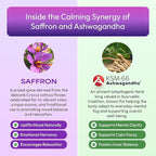 Ashwagandha and Saffron Supplement – Contains KSM 66 and Saffron Extract – Vegan, Gluten-Free, GMO-Free – Daily Herbal Ashwagandha Supplement to Support Focus, Clarity & Relaxation (Mixed Berry, 60ml)
