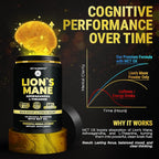 KEY ELEMENTS Organic Lions Mane Supplement Capsules with MCT Oil for Brain Support & Relaxed Focus - Lion's Mane Extract with Ashwagandha and L-Theanine - Lions Mane Mushroom Softgels