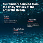 NativePath Antarctic Krill Oil - Wild-Caught Omega 3 Krill Oil 500mg Softgels with EPA, DHA and Astaxanthin - Supplement for Joint, Heart, Brain and Immunity - 60 ct - No Fishy Aftertaste