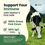 Immerge Health Super Colostrum Capsules - 120 Count High IgG Bovine Supplement for Gut Health, Hair Growth, Bloating & Immunity - 100% Grass Fed First Milking, Tasteless & Travel Friendly, USA Made