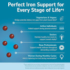21st Century Slow Release Iron Tablets, 60 Count