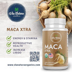 Maca Xtra Capsules 1000mg | Organic Herbal Supplement | Natural Source of Amino Acids Iron & Magnesium | 60 Capsules
