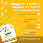 21st Century B-100 Complex Prolonged Release Tablets, 60 Count (Pack of 1), High Potency Vitamin B Complex for Nervous System, Energy Support, Includes Vitamin B1, B2, B6, Biotin & Calcium