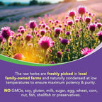 4-in-1 Milk Thistle Complex for Men & Women, Milk Thistle Extract with 240mg of Active Silymarin, 80% Std, with Dandelion, Choline, Zinc, Liver Detox & Repair, Non-GMO, Once Daily, 90 Veggie Caps