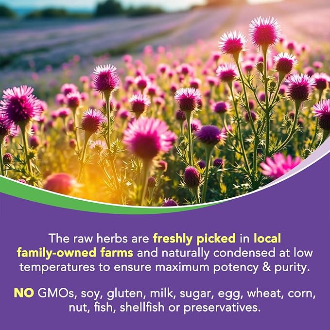 4-in-1 Milk Thistle Complex for Men & Women, Milk Thistle Extract with 240mg of Active Silymarin, 80% Std, with Dandelion, Choline, Zinc, Liver Detox & Repair, Non-GMO, Once Daily, 90 Veggie Caps