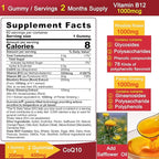 Ultra Absorption CoQ10 Gummies 200mg/400mg, w/ Methyl B12 1000mcg, B6, Rhodiola Rosea & Panax Ginseng, Sugar Free CoQ10 Supplement for Energy Boost, Hear-t Health, Antioxidant & Brain Support, 2 Pack
