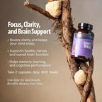 FreshCap Mushrooms Ayurveda Lions Mane Supplement Capsules 14,000mg - Lion's Mane, High Potency Extract, 14:1 Organic Mushroom Supplement, Focus Made in USA (120 Capsules)