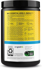 Optimum Nutrition Amino Energy Powder Plus Focus, with BCAA, Electrolytes, and Caffeine, Sunkissed Citrus, 30 Servings (Packaging May Vary)