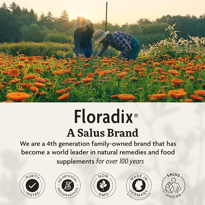 Floradix Iron & Herbs - Liquid Herbal Supplement for Energy Support - Iron Supplement with Vitamin C & Vitamin B Complex - for Men & Women - 8.5 fl oz