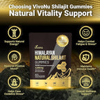 Shilajit Gummies for Men & Women | 4000mg High Potency 10-in-1 Formula with Pure Himalayan Shilajit, Ashwagandha, and 75% Fulvic Acid | Sugar-Free Vegan, 85+ Trace Minerals Men 4000mg / 2 Bag
