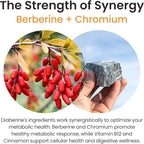 Diaberine On-The-Go Berberine HCL, 5-Day Supplement Trial Pack | Supports Heart Health, Energy Boost, Metabolism & Immune Functions | Berberine 500mg with Vitamin B12, Magnesium & Chromium