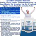 Perfect Gut: Inulin FOS Powder for Gut Health. Prebiotic Inulin. Unique Prebiotic 95% FOS Inulin Agave Fiber