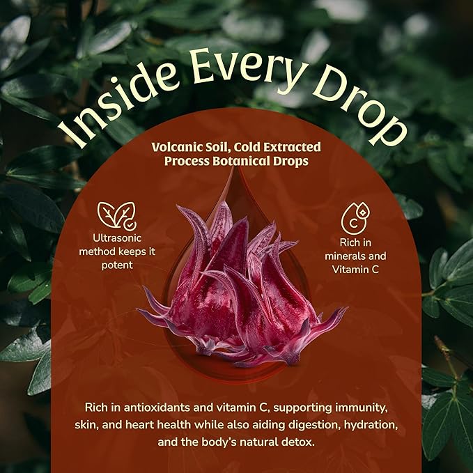 Hibiscus Extract 50ml – Antioxidant-Rich Flor de Jamaica Liquid | Hibiscus Tea Alternative | GLP-Friendly, Plant Based, Vegan, Non-GMO – 60 Servings