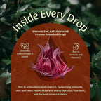 Hibiscus Extract 50ml – Antioxidant-Rich Flor de Jamaica Liquid | Hibiscus Tea Alternative | GLP-Friendly, Plant Based, Vegan, Non-GMO – 60 Servings