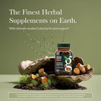 Gaia Herbs Turmeric Supreme Joint Health - Joint Support Supplement with Cucumber, Quercetin, Black Pepper, Ginger Root, Curcuminoids & More* - 120 Liquid Phyto-Caps (60 Servings)