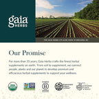 Gaia Herbs Ginger-Beet Postbiotic - Supplement for Gut & Heart Health Support* - Made with Fermented Beets & Ginger - Free from Dairy, Soy & Gluten - 60 Vegan Liquid Phyto-Caps (30 Servings)