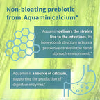 Igennus Probiotics & Prebiotic 2 in 1, Lactobacillus Acidophilus & Bifidobacterium, Gut Health Support, Live Cultures+ Lab4, Guaranteed 25 Billion CFU, Women & Men, Non-Bloating, Non-GMO, 30 Capsules