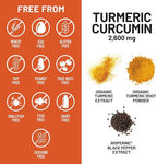 NatureWise Turmeric Curcumin with Black Pepper 2600mg - Ultra Absorption Turmeric Curcumin Supplement + BioPerine - Naturally-Sourced, Vegan, Non-GMO, USA Manufactured - 120 Capsules[30-Day Supply]