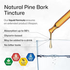 BIO KRAUTER® Pine Bark Extract for Circulatory & Antioxidant Support - Vegan French Maritime Pine Bark Herbal Supplements - Natural Antioxidants & Skin Support - 400 mg per Serving, 4 Fl. Oz.