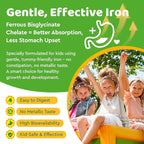 Iron Supplement Gummies for Kids, Kids Multivitamin with Iron Gummies - Zinc, Vitamin B Complex, A, C, D3, B12, Folate for Blood Builder & Energy Support, Vegan Sugar Free Green Apple & Kiwi 60ct