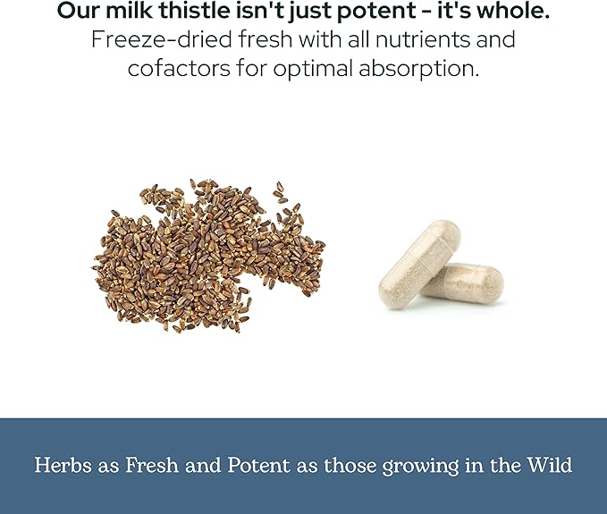 Eclectic Herb - Premium Freeze Dried Milk Thistle Capsules | Silymarin Supplement | Liver Support, Detox, Cleanse + Maintain | Vegan, Natural, Non-GMO, Gluten Free (240 CT | 600 mg)