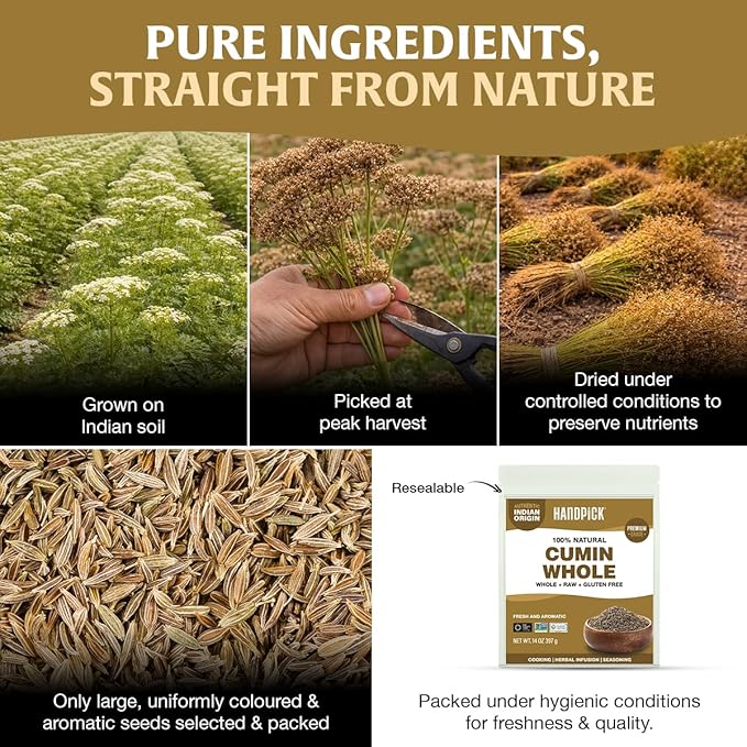 HANDPICK Cumin Seeds (397g/14oz) Non GMO, Gluten Free, 100% Raw, Sourced from India, Excellent Flavor, Aromatic, For Tempering, Spice Blends and Seasonings, Packed in Resealable Ziplock Pouch