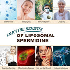 Spermidine Supplement 15 MG - 99% Purity, High Absorption, 1500 MG Fermented Wheat Germ Extract with Zinc & Thiamin, Spermidine for Men & Women - Cellular Renewal, Aging Defense, Energy, 60 Softgels